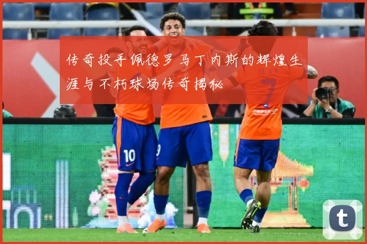 传奇投手佩德罗马丁内斯的辉煌生涯与不朽球场传奇揭秘