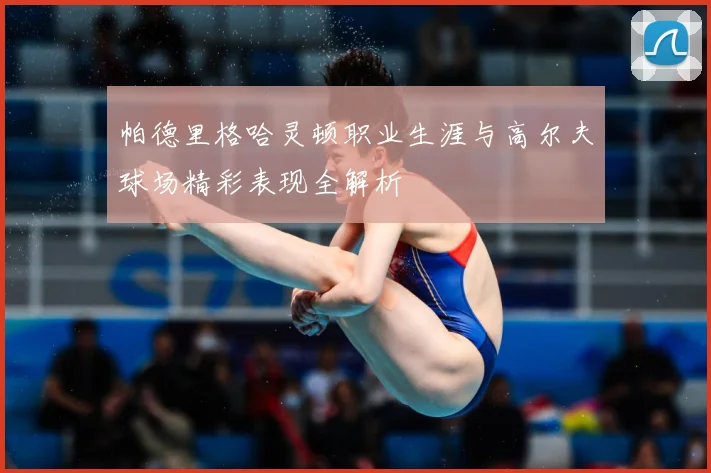 帕德里格哈灵顿职业生涯与高尔夫球场精彩表现全解析